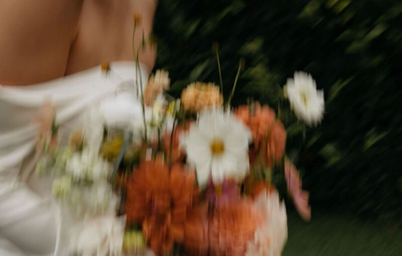 Rosella Magazine